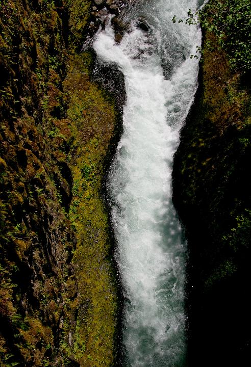 Eagle Creek 614.jpg - Copyright 2009 DonJacobson